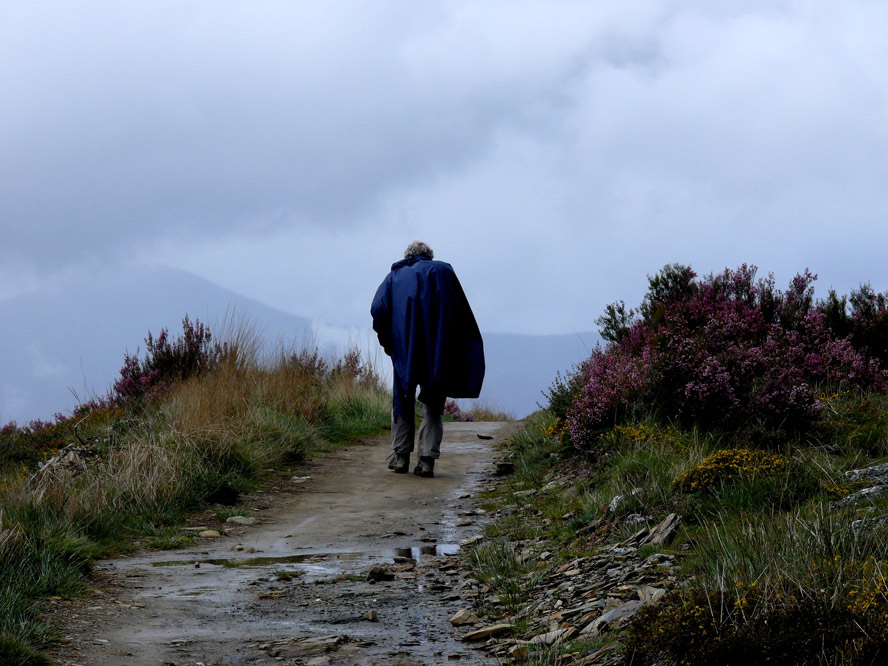 The Path to Inner Peace